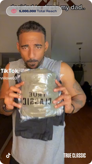 TikTok creator campaign example